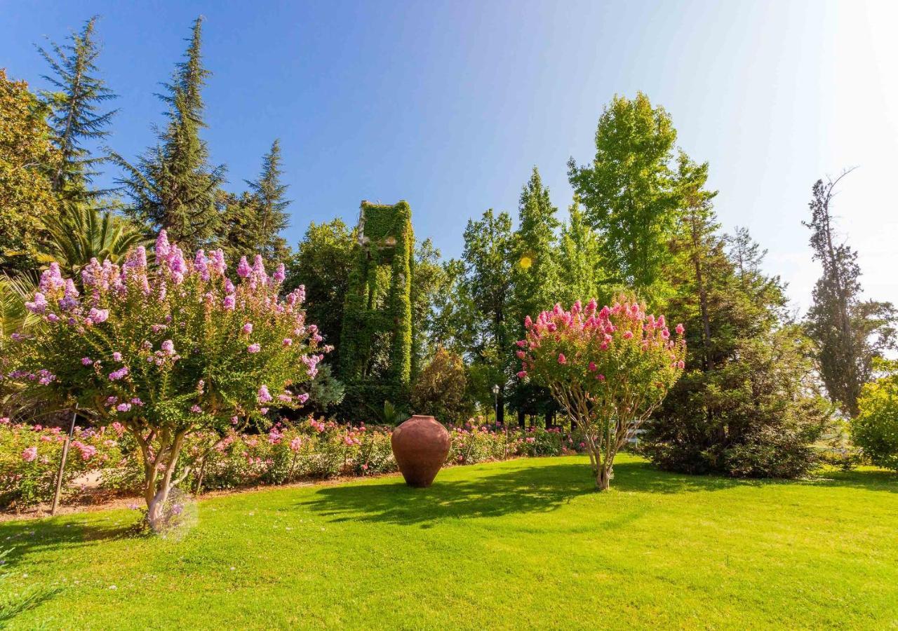 Pichidegua Hotel Boutique Almahue מראה חיצוני תמונה