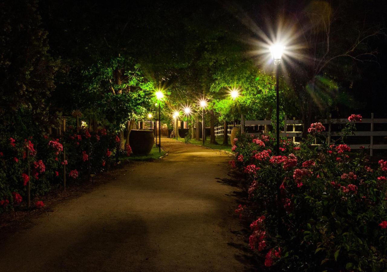 Pichidegua Hotel Boutique Almahue מראה חיצוני תמונה
